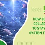 How long does collagen need to stay in your system to work?