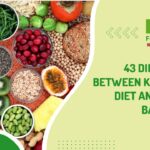 43 Difference Between Ketogenic Diet and Plant-Based Diet