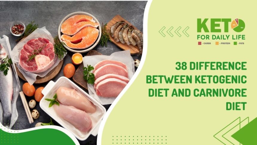 38 Difference Between Ketogenic Diet and Carnivore Diet